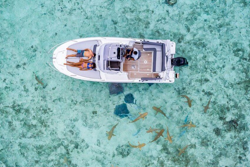 Un bote con dos personas en un mar turquesa cristalino, rodeado de peces. 1