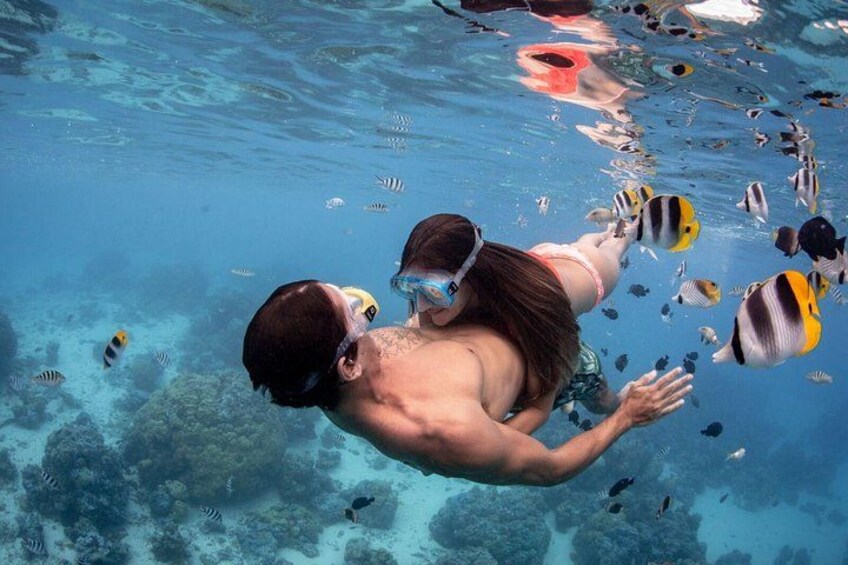 A person swimming underwater with a snorkel and mask, surrounded by various fish. 4