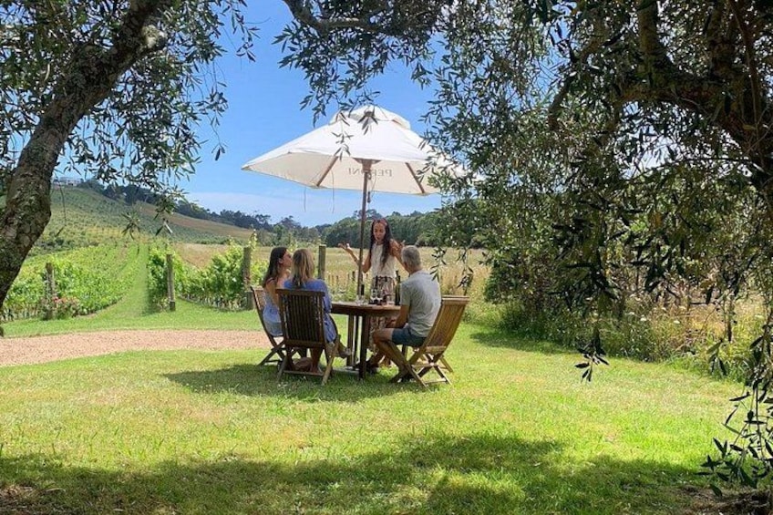 Een groep mensen zit aan een tafel onder een grote parasol in een groene buitenomgeving met bomen en heuvels op de achtergrond. 2
