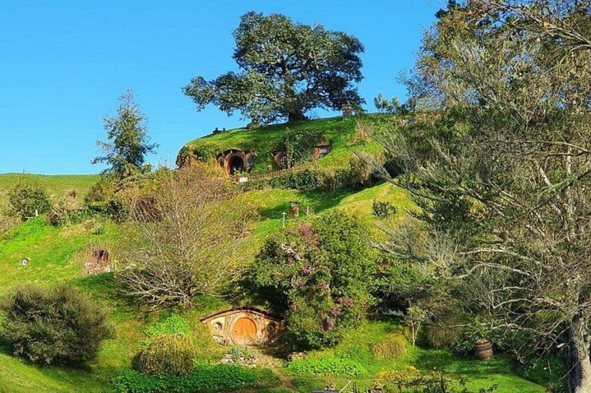 Hobbiton Movie Set 2