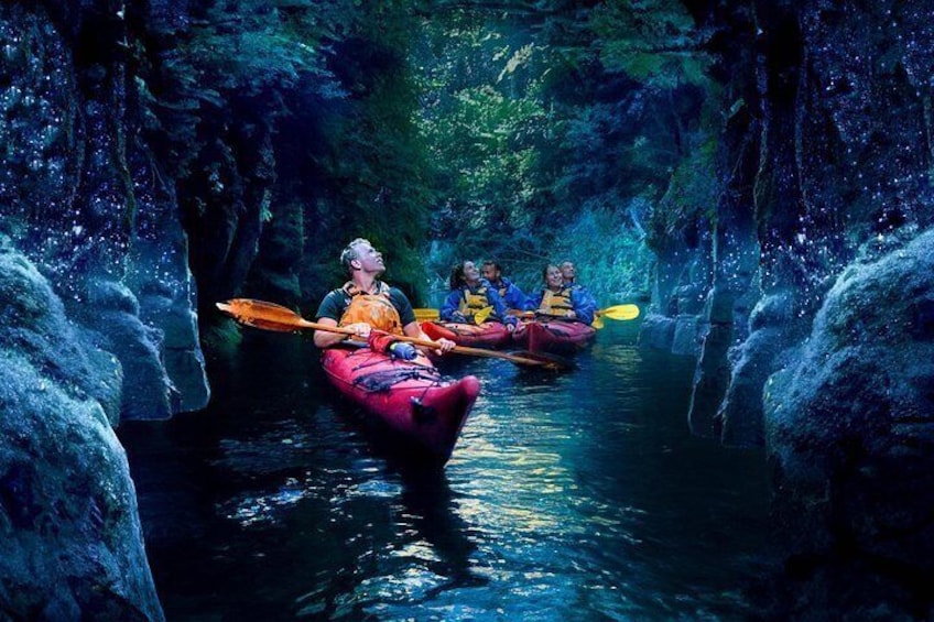 Mangapapa Glowworm Canyon 2