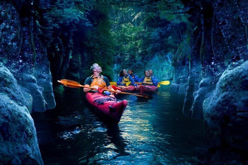 Mangapapa Glowworm Canyon 2