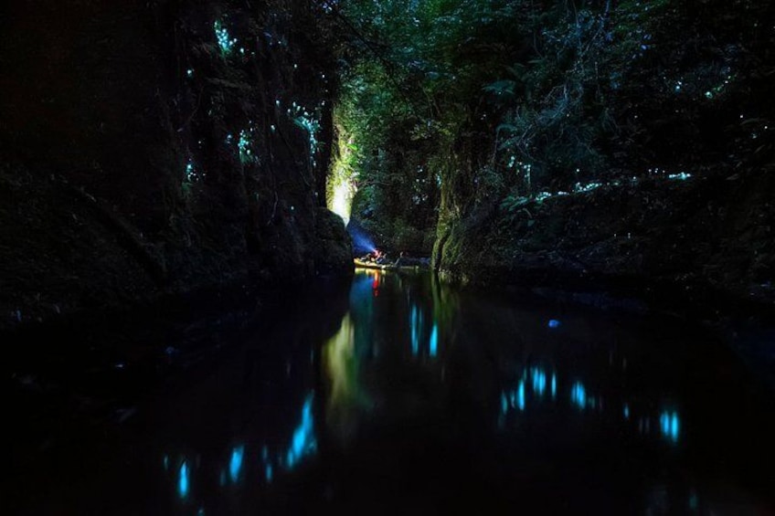 Deep in the Glow worm canyon 1