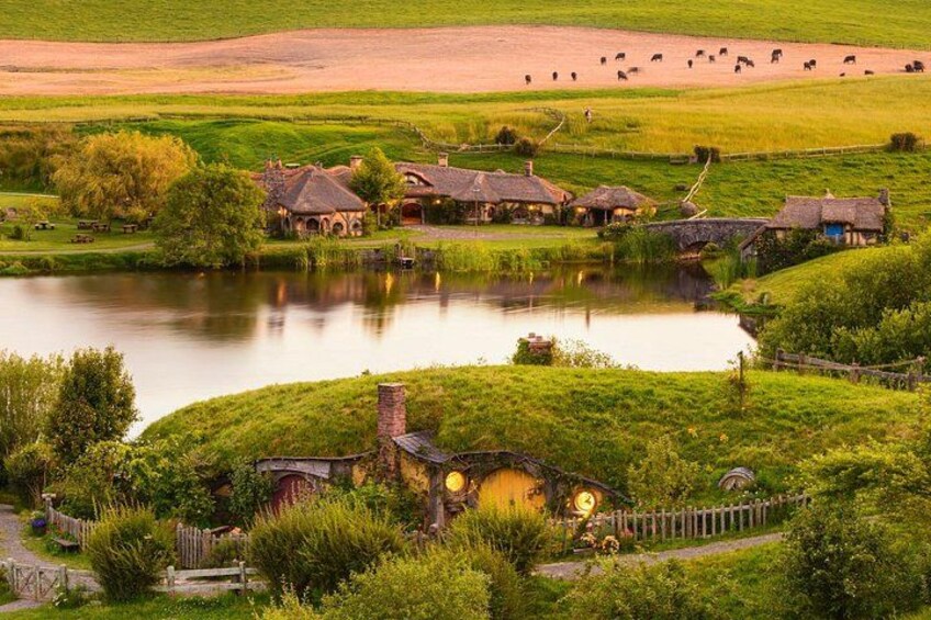 Hobbiton Movie Set Tour with lunch from Auckland 1