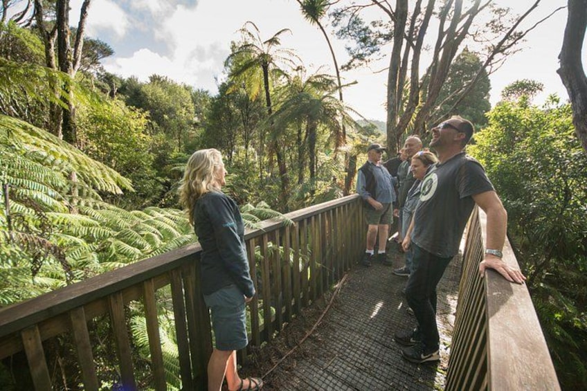 A group of people on a wooden bridge surrounded by lush greenery and trees. 3