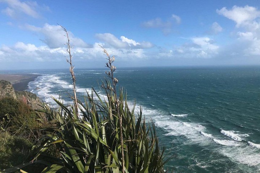 A coastal landscape with ocean waves, vegetation, and a clear sky. 3