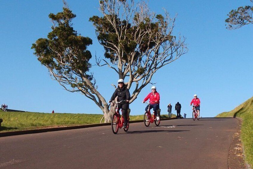 Des cyclistes sur une route asphaltée, bordée d’arbres et d’herbe. 3