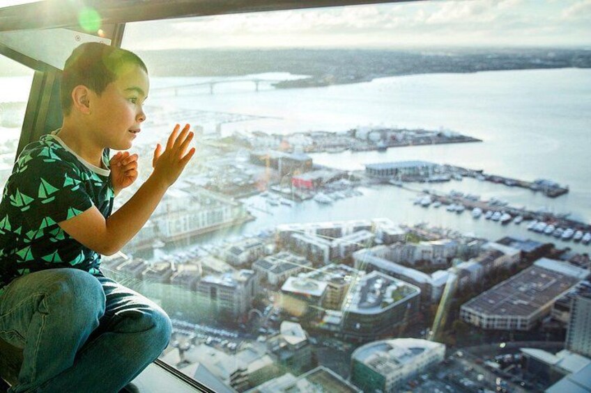 Sky Tower Main Observation level 51 4