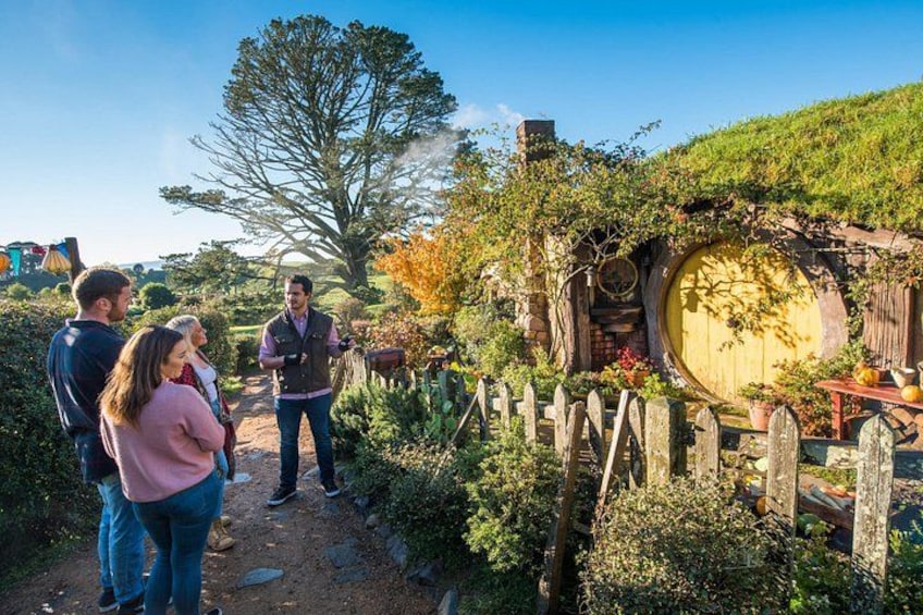 Hobbiton Movie Set 5