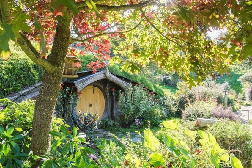 Hobbiton Movie Set 4