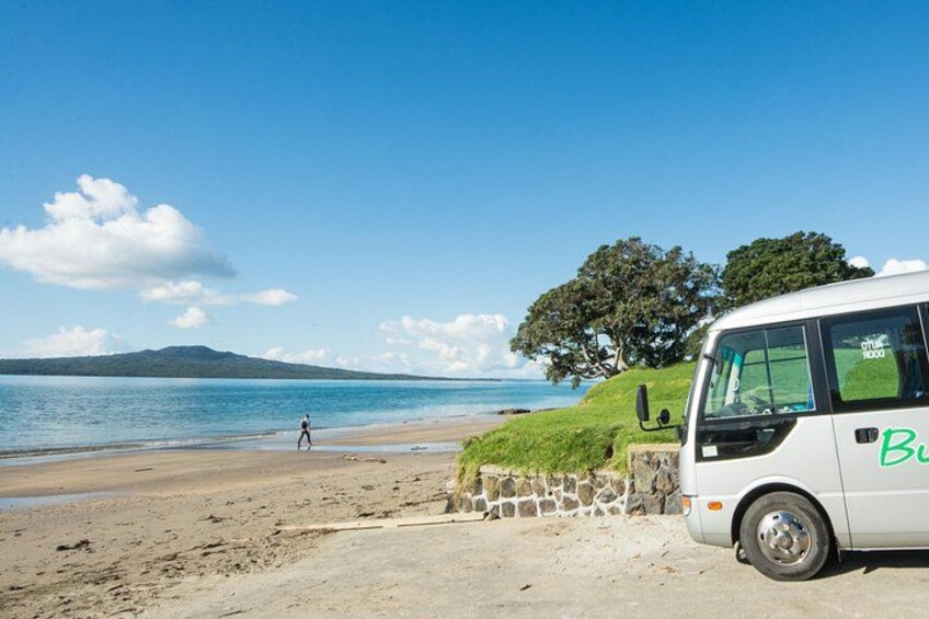 Rangitoto Island 4