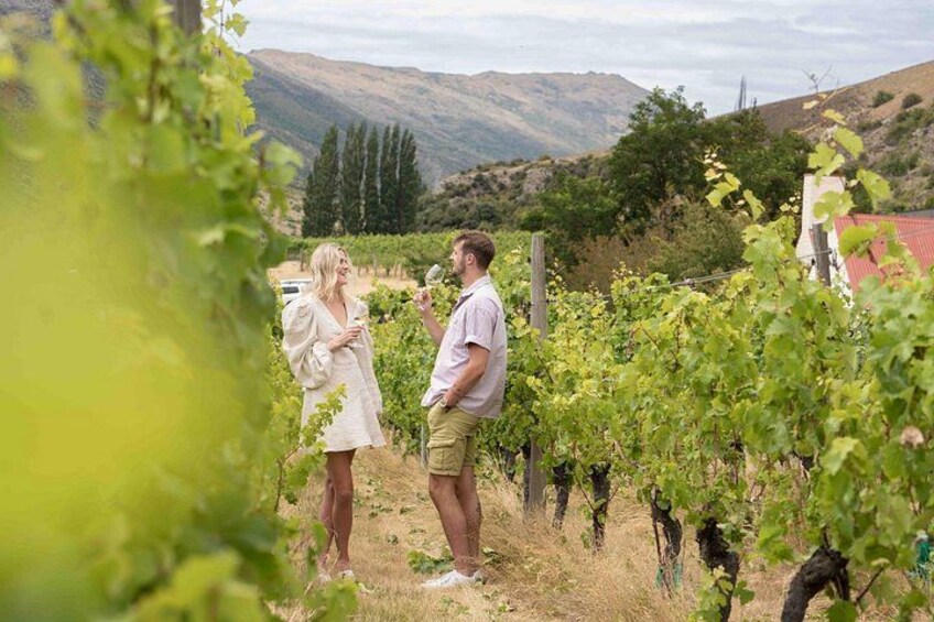 Gibbston Valley Winery | You'll discover the purest expression of our terroir! 3