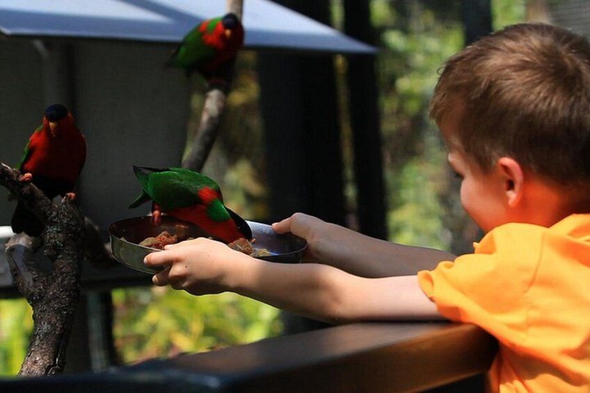 Kids Park Ranger for a Day 1