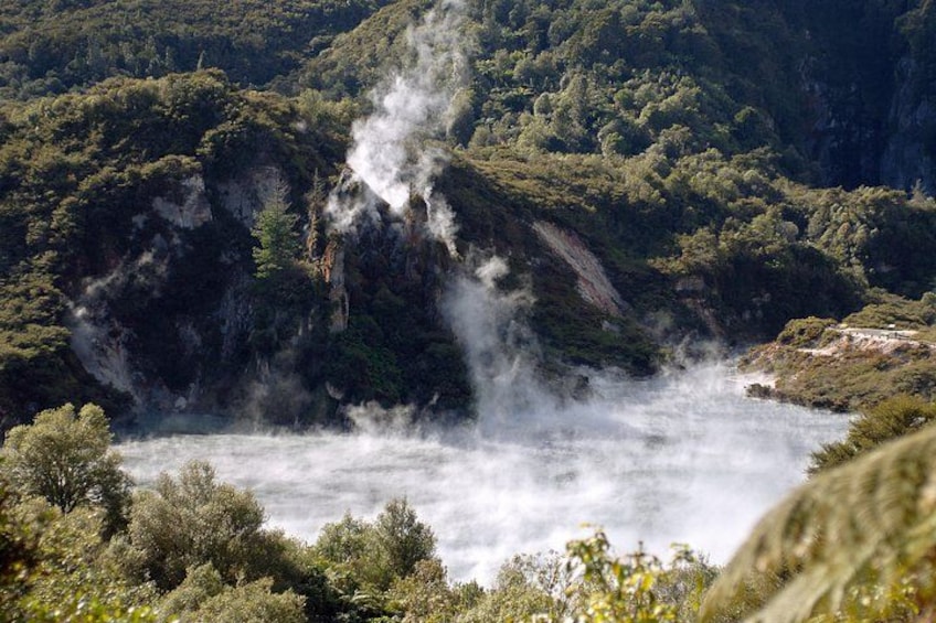 Auckland to Rotorua Private Tour 4