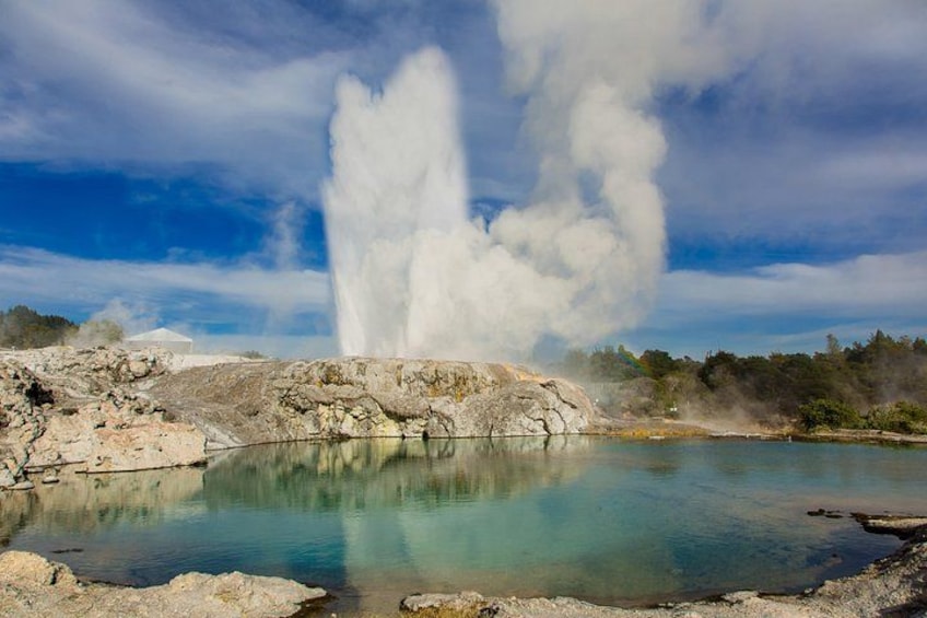 Auckland to Rotorua Private Tour 1