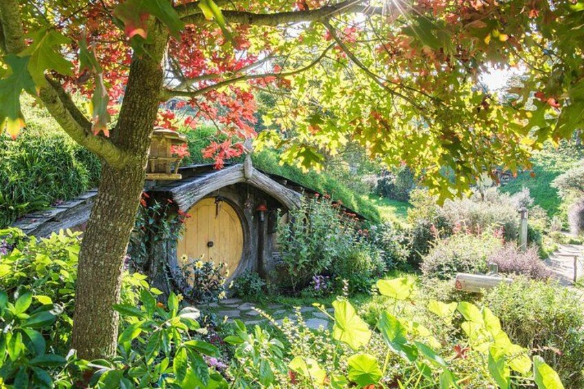 Una casa de estilo Hobbit rodeada de abundante follaje y diversas plantas. 2