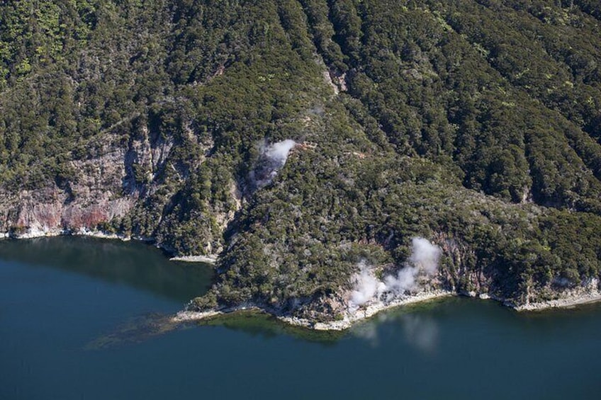See the Steaming Cliffs of Waimangu from above 3
