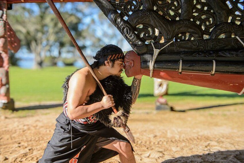 Unique Cultural Experience at Waitangi Treaty Grounds – Day Pass 1
