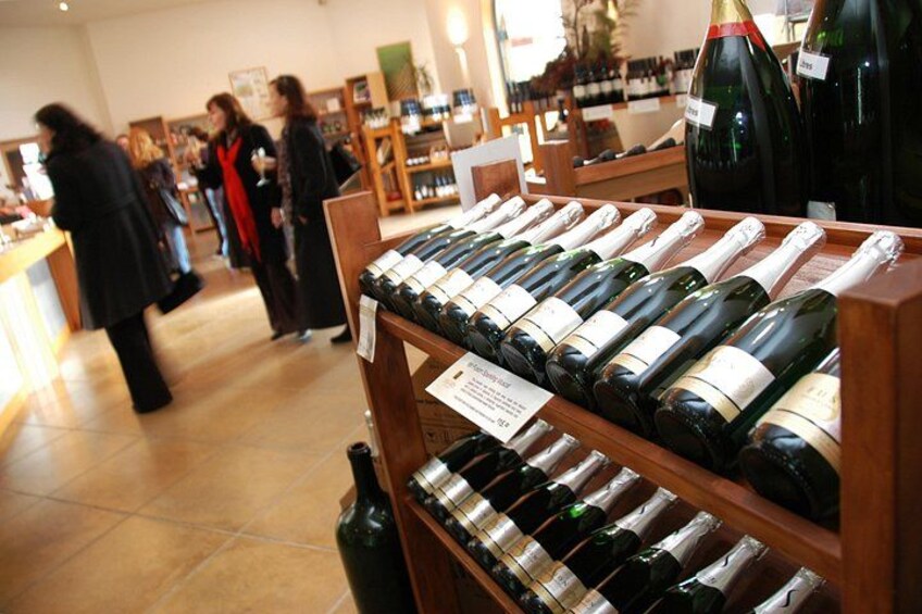 Kumeu Wine Country 2