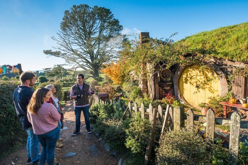 A Hobbiton-themed garden with a round door, wooden fence, and lush greenery. 4