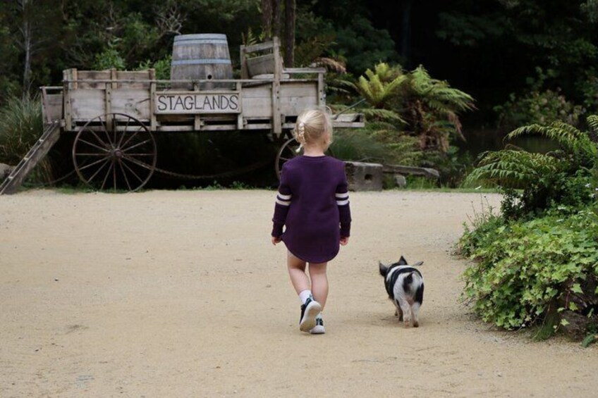 Staglands Wildlife Reserve Entry Ticket 2