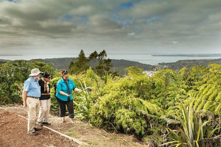 Arataki Visitor Centre in the Waitakere Ranges 5