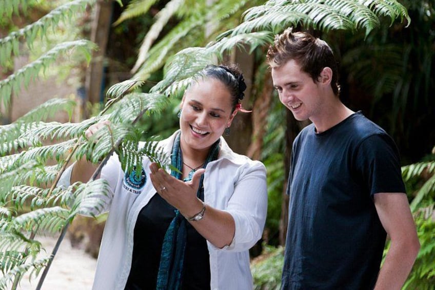 Guiding by a friendly, passionate and highly-knowledgeable indigenous guide 2