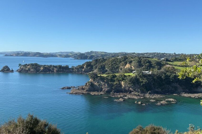 Waiheke Island Double Headland Coastal Walk 3