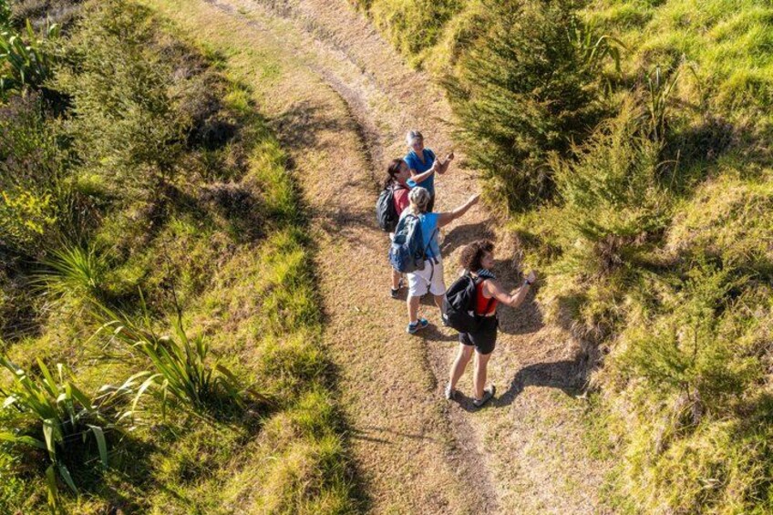 Waiheke Island Double Headland Coastal Walk 5