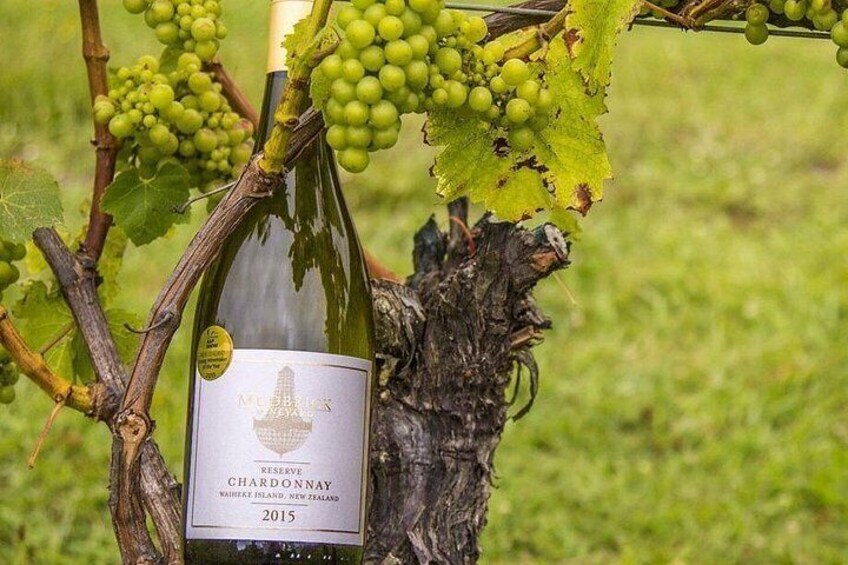 A bottle of 2015 Mahiki Reserve Chardonnay on a vine with green grapes. 3