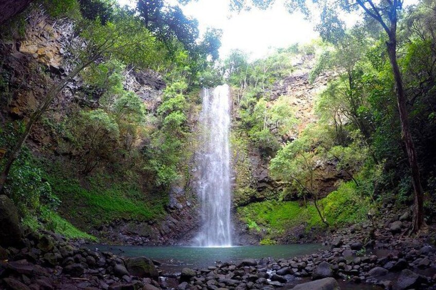 Wailua River & Waterfalls Kayak Tour: Expert-Guided Adventure 2