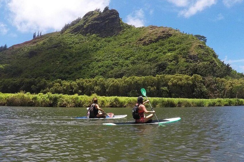 Wailua River & Waterfalls Kayak Tour: Expert-Guided Adventure 3