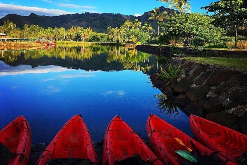 Wailua River & Waterfalls Kayak Tour: Expert-Guided Adventure 5