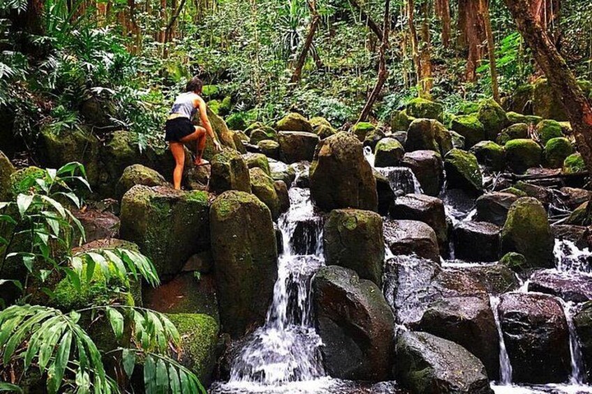 Wailua River & Waterfalls Kayak Tour: Expert-Guided Adventure 4