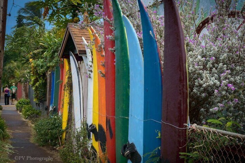 A row of colorful surfboards leaning against a fence, surrounded by greenery and flowering plants. 3