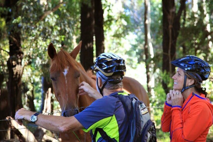 Haleakala Downhill Bike Tour Self-Guided Ride with Maui Sunriders 2