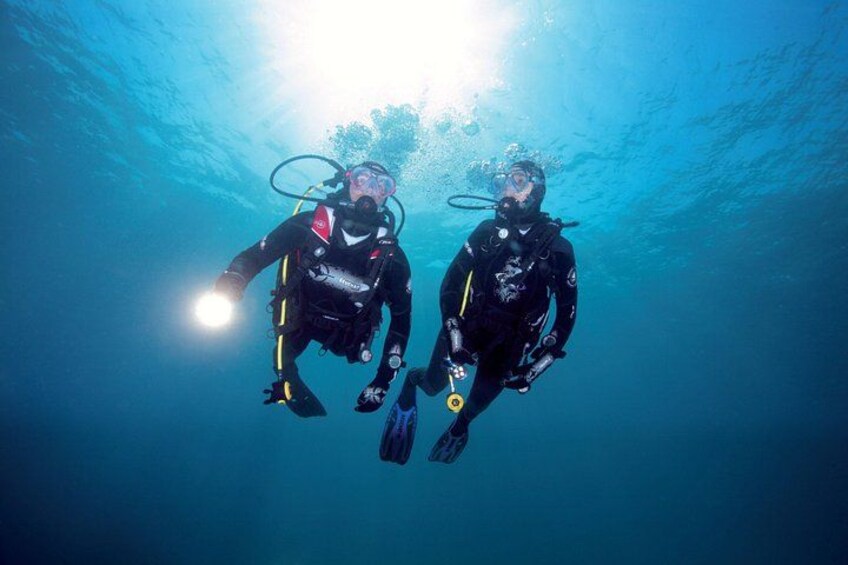 Full-Day (2 dives) Scuba Diving at Goat Island Marine Reserve 2