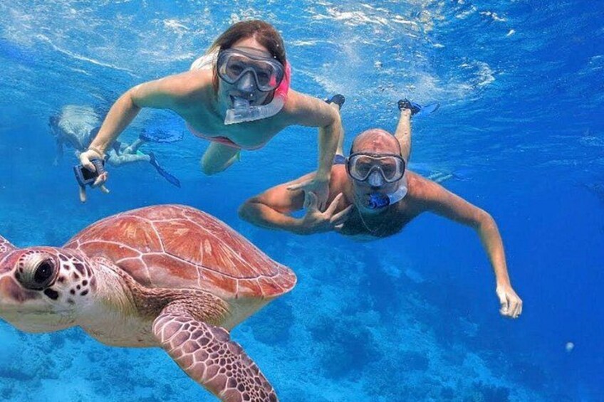 Oahu Ultimate Circle Island Tour Full Day Experience 3