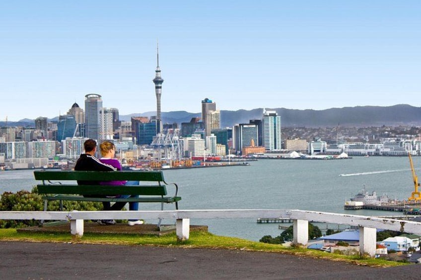 Small-Group Auckland City Tour 1