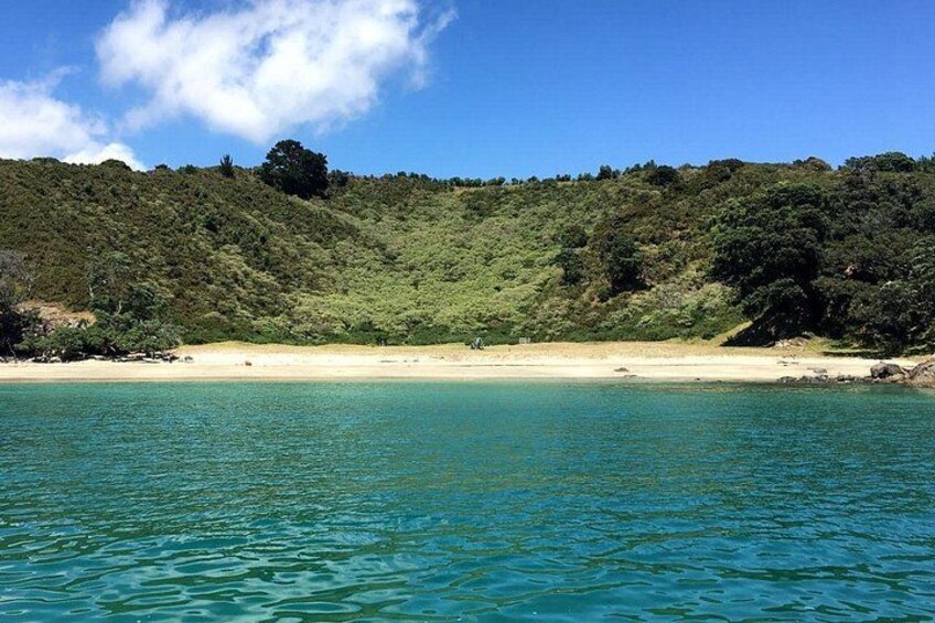 Cactus Bay on the Bush & Beach Walk 1