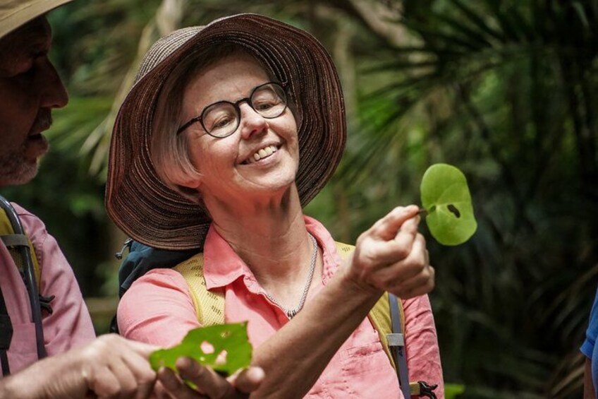 Una persona tiene in mano una foglia verde, indossa una camicia rosa e un cappello a tesa larga, in un ambiente naturale con vegetazione sullo sfondo. 5