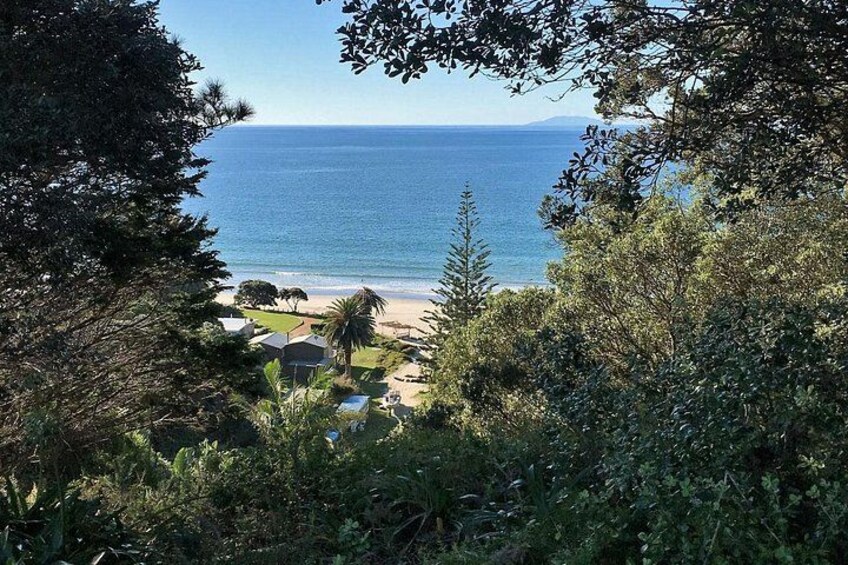 Bush & Beach Walk 4