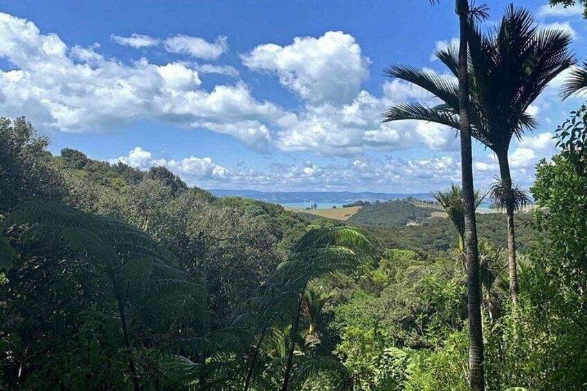 Waiheke Island 2