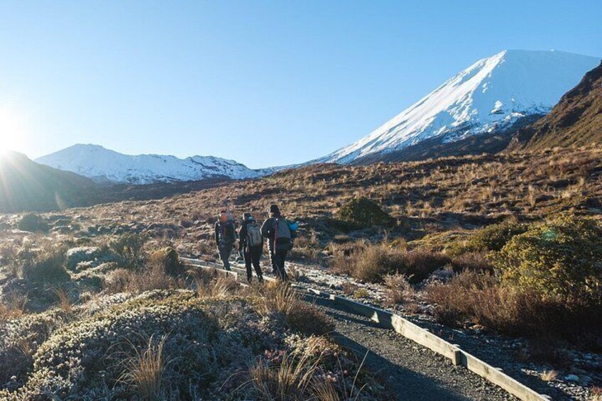Half Day Tongariro Alpine Guided Group Walk 2