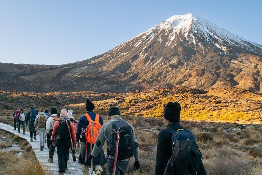 Half Day Tongariro Alpine Guided Group Walk 4