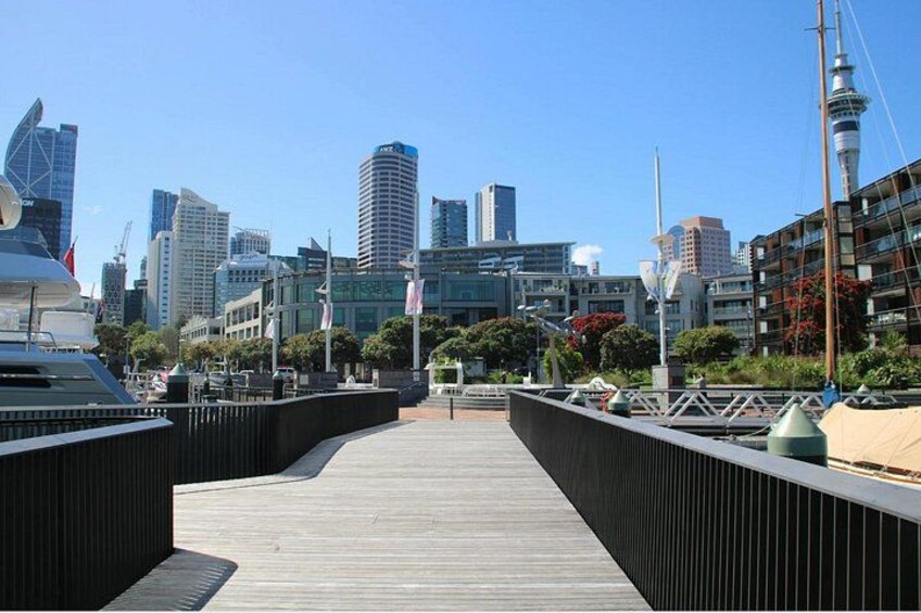 Auckland City Volcano & Scenic Highlights Tour 2