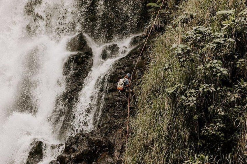 Waterfall Rappelling at Kulaniapia Falls: 120 Foot Drop, 15 Minutes from Hilo 2