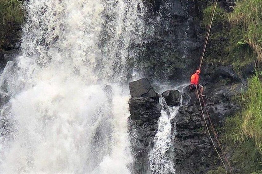 Waterfall Rappelling at Kulaniapia Falls: 120 Foot Drop, 15 Minutes from Hilo 2