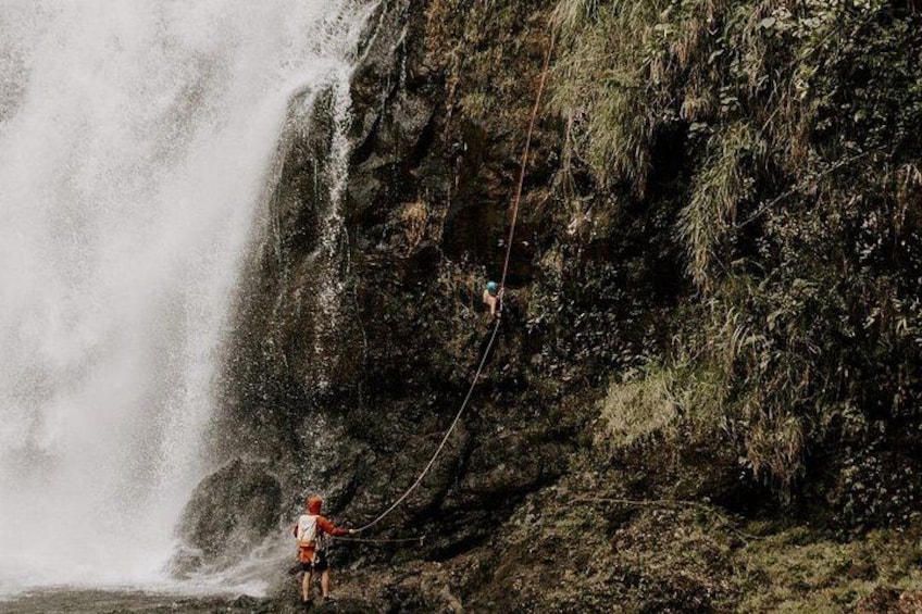 Waterfall Rappelling at Kulaniapia Falls: 120 Foot Drop, 15 Minutes from Hilo 3