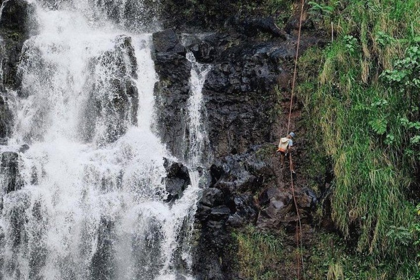 Eine Person seilt sich einen Wasserfall hinab, umgeben von üppigem Grün. 1
